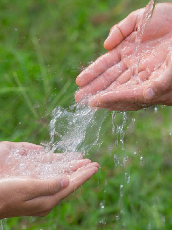 Nutrientes del agua natural